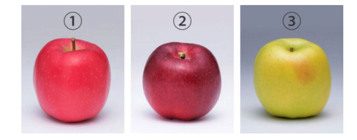青森りんご検定 リンゴ農家にも難問 どうしてこんな問題を作ったの と主題者に聞いてみた 弘前経済新聞